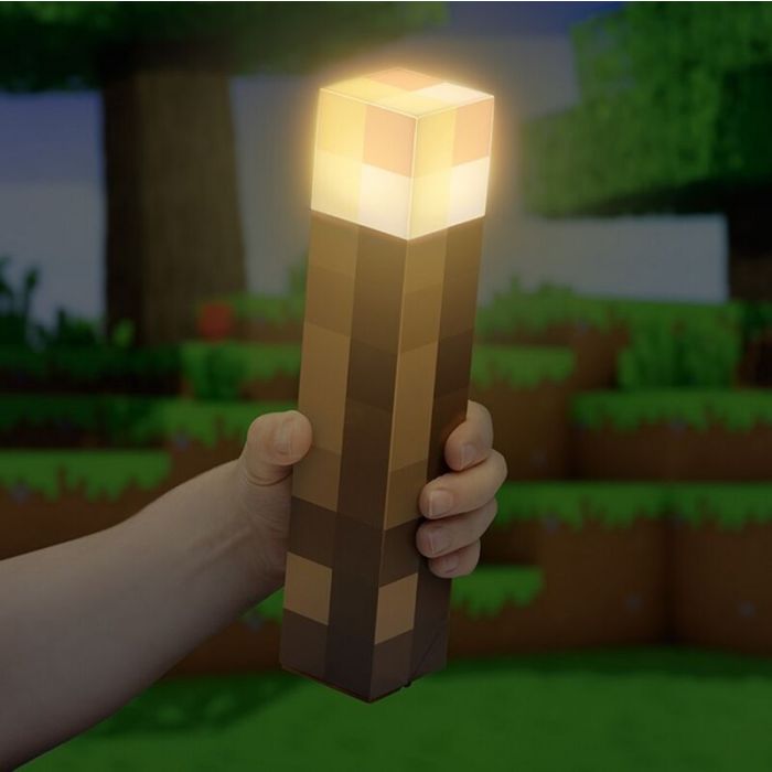 Minecraft Torch Light