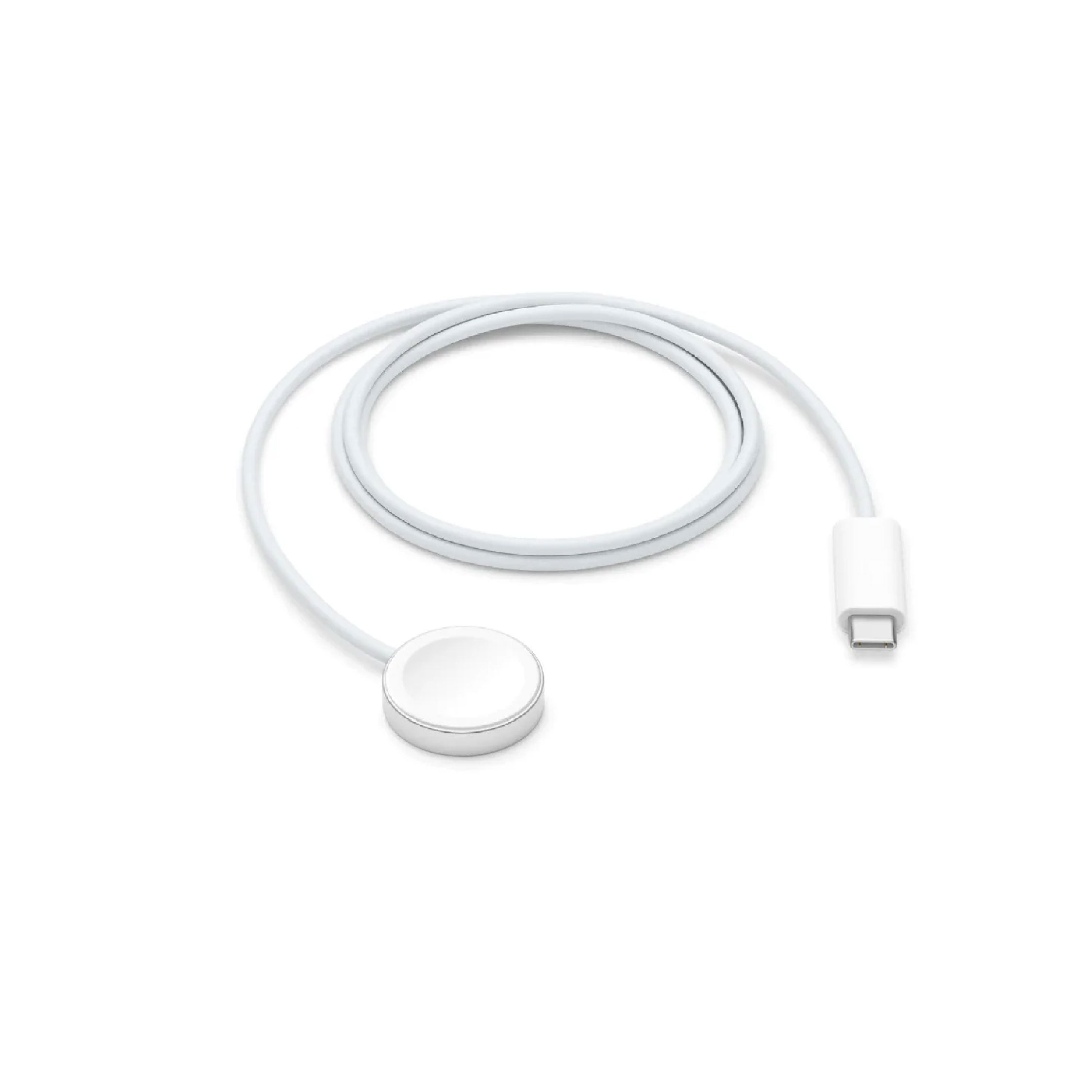 Apple Magnetic Fast Charger to USB-C 1m