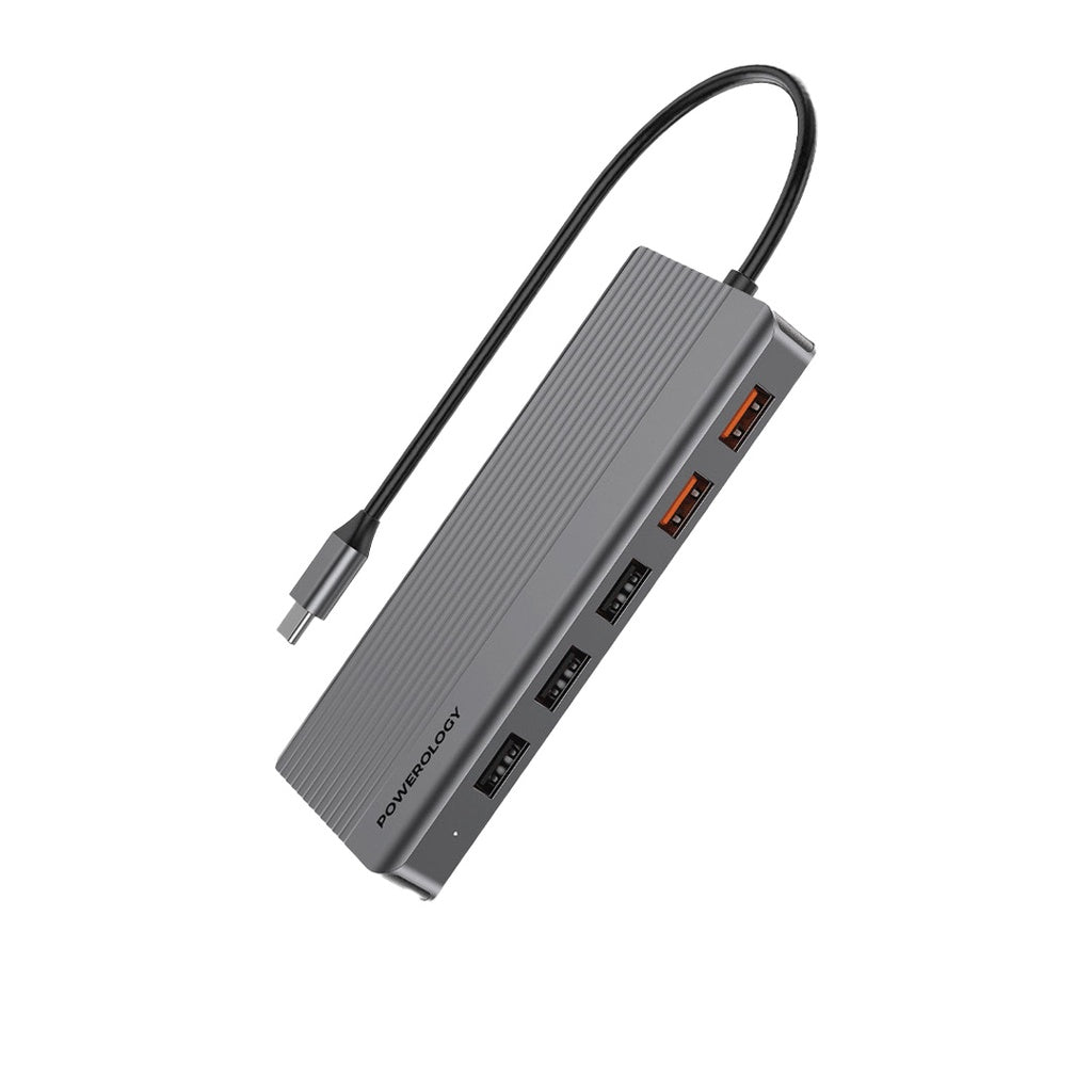 Powerology PD 100W 12-in-1 USB-C Hub with 3.2 10GBPS -Gray
