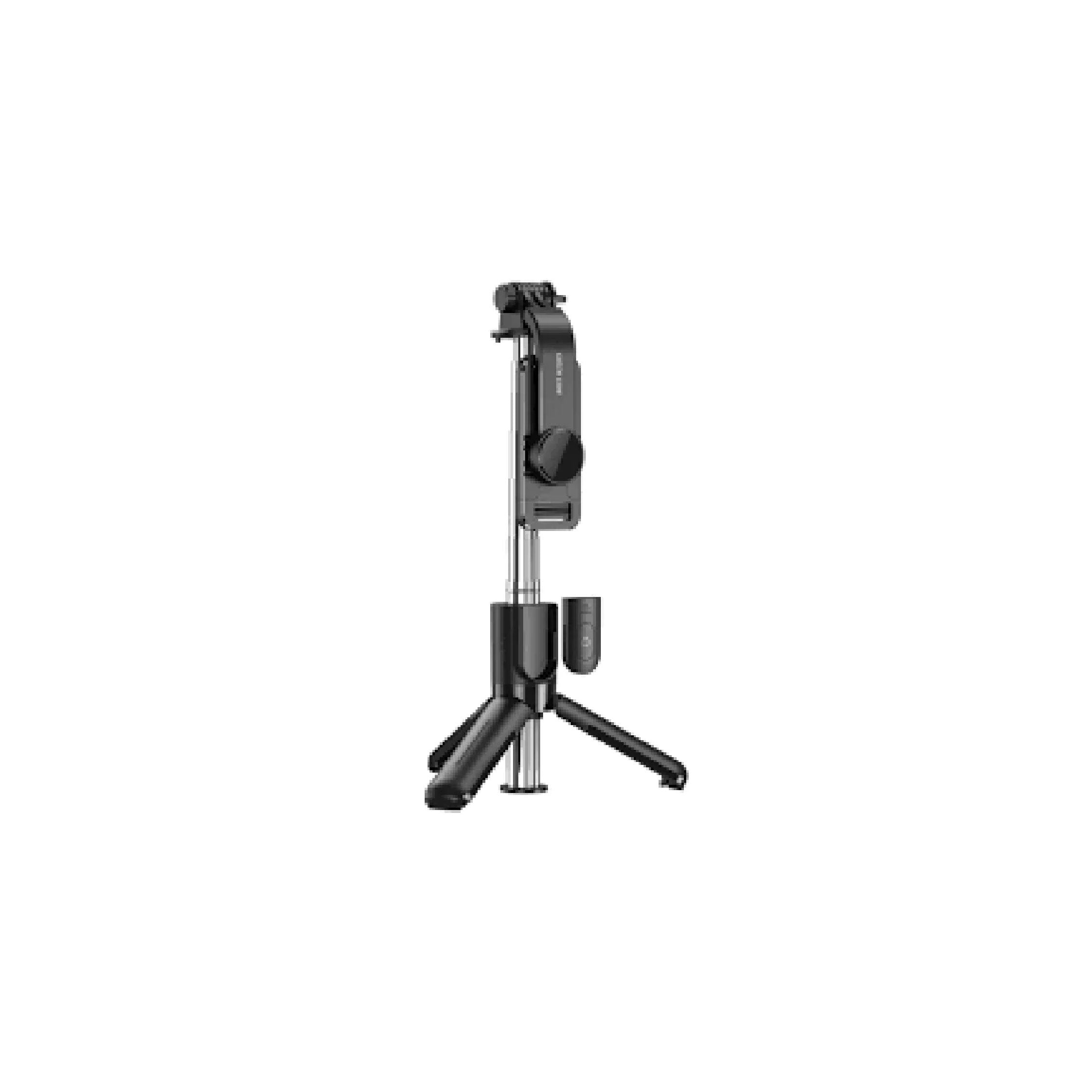 Green Lion Broadcast & Selfie Stick 600mm with Detachable